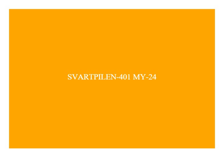 Svartpilen 401